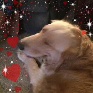 Meet your Posher, Peggy